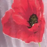 Тюль с цветами маки купить