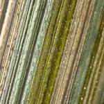 Шторы нити купить дешево