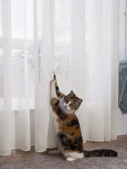 Тюль антикоготь "Cat Friendly" Молочный