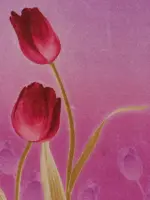 Шторы распродажа остатков - отрез 2,20 метра — изображение 3